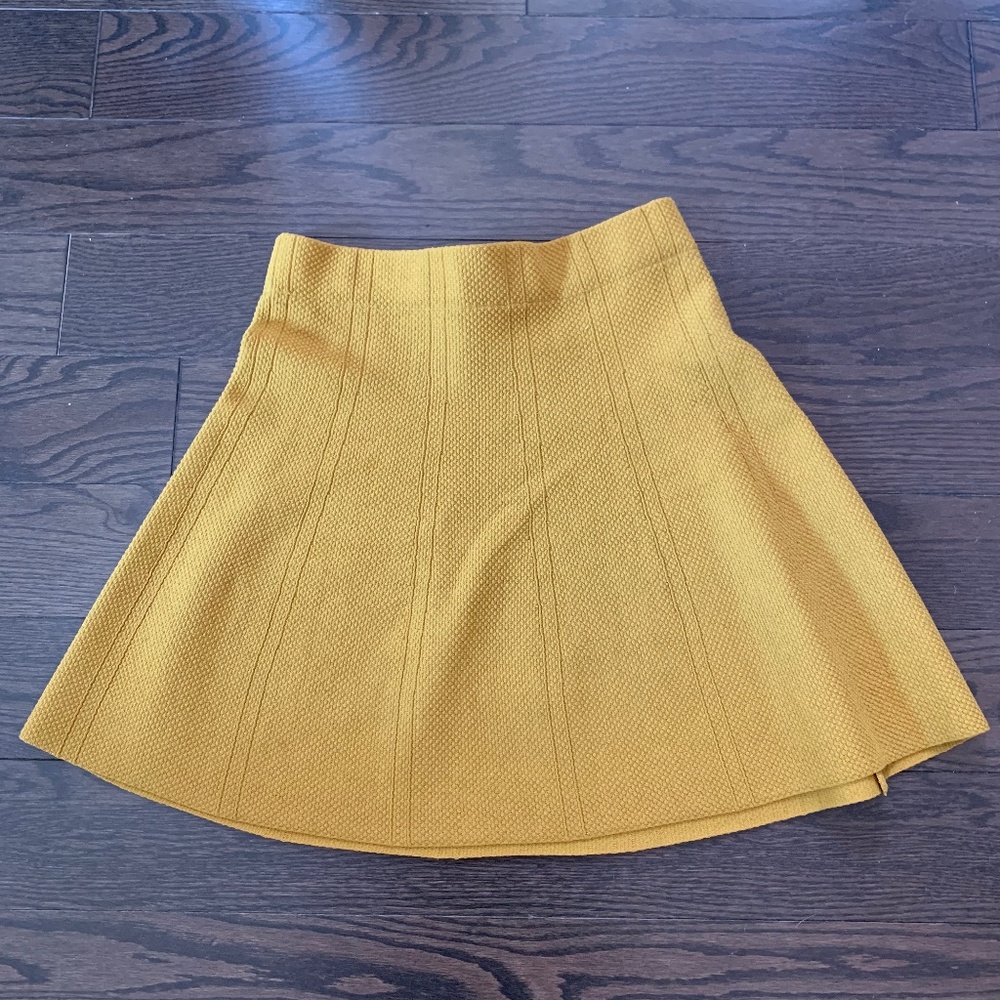Fabulous Fall Zara Skirt